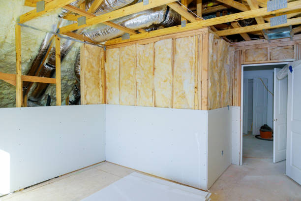 Best Insulation for Specific Applications in Lo, HI