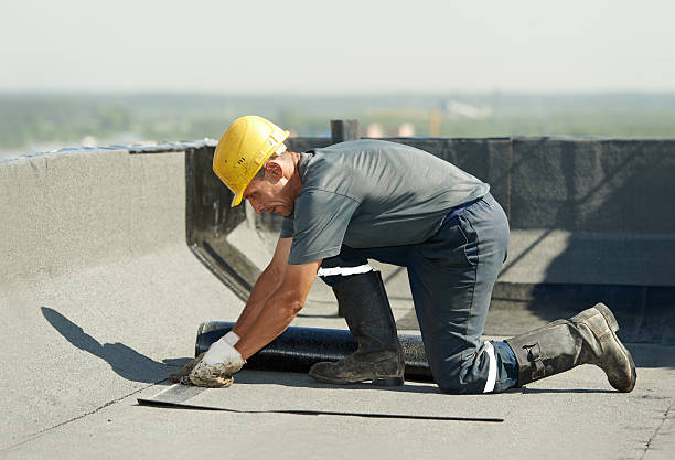 Best Insulation Installation Services in Lo, HI
